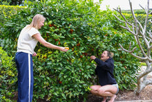 Load image into Gallery viewer, Palm Beach Surf Club Gin