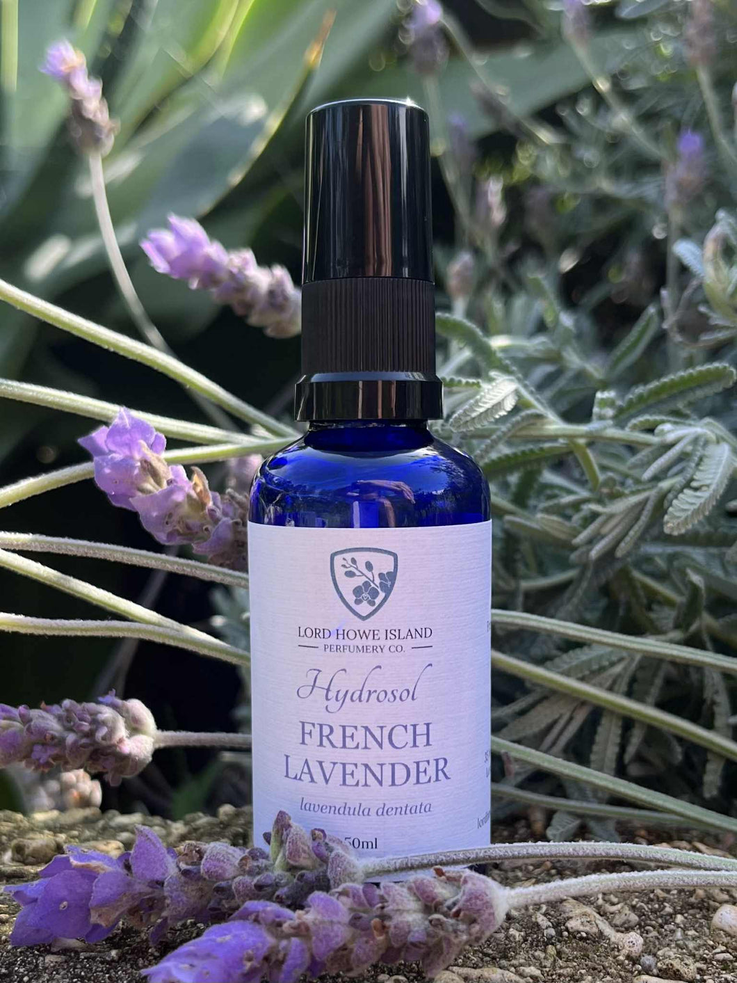 French Lavender Hydrosol